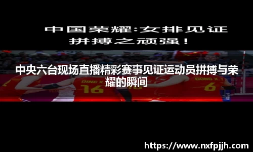 中央六台现场直播精彩赛事见证运动员拼搏与荣耀的瞬间