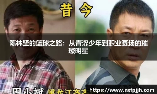 mk体育官网
